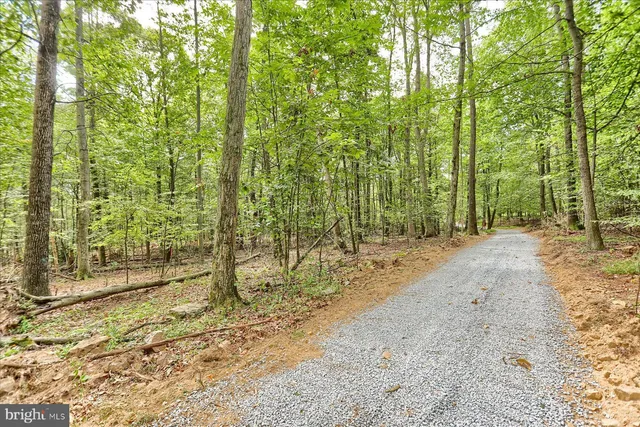 a view of outdoor space with trees
