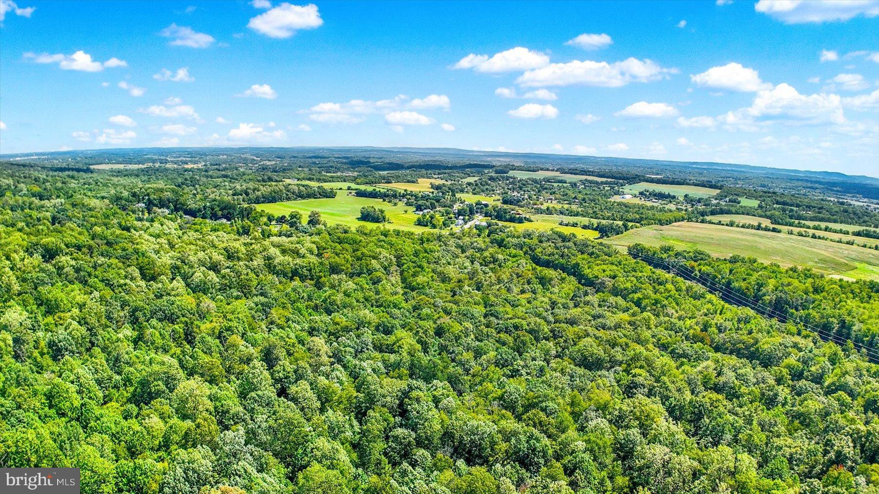 0 Pheasant Road Harrisburg, PA 17112 - Photo 41 of 42 a view of a city