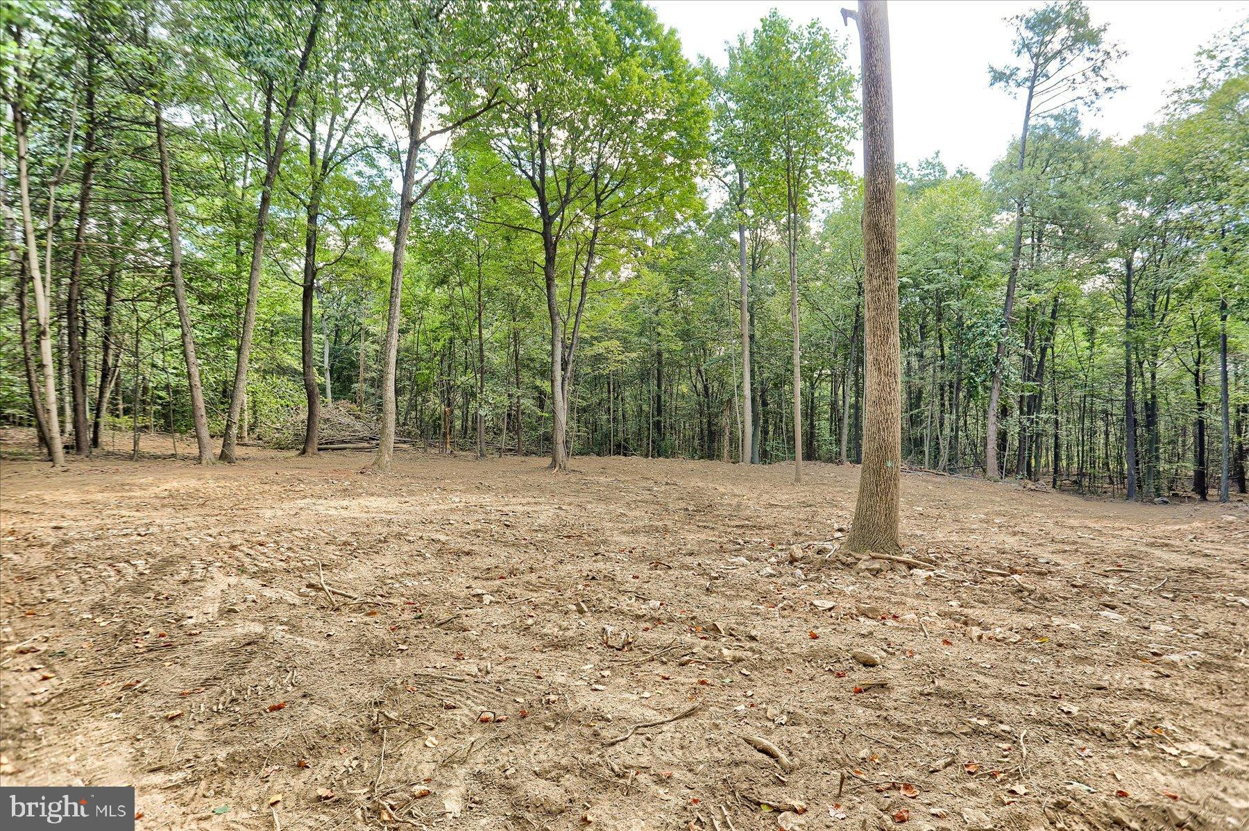 0 Pheasant Road Harrisburg, PA 17112 - Photo 6 of 42 a house with trees in front of it