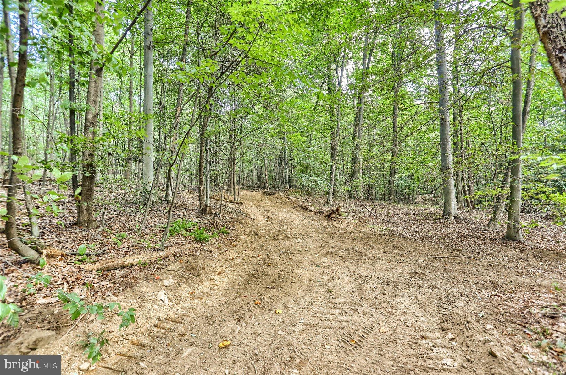 0 Pheasant Road Harrisburg, PA 17112 - Photo 7 of 42 a view of outdoor space with trees