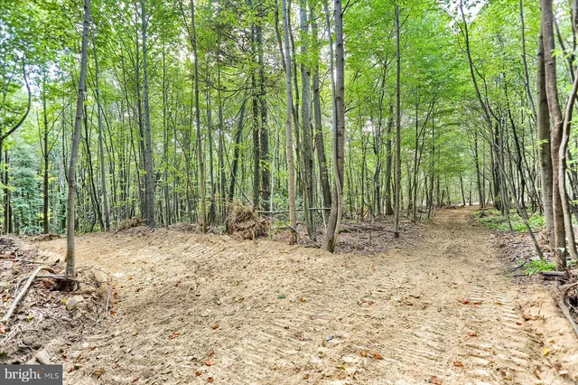 a view of outdoor space with trees