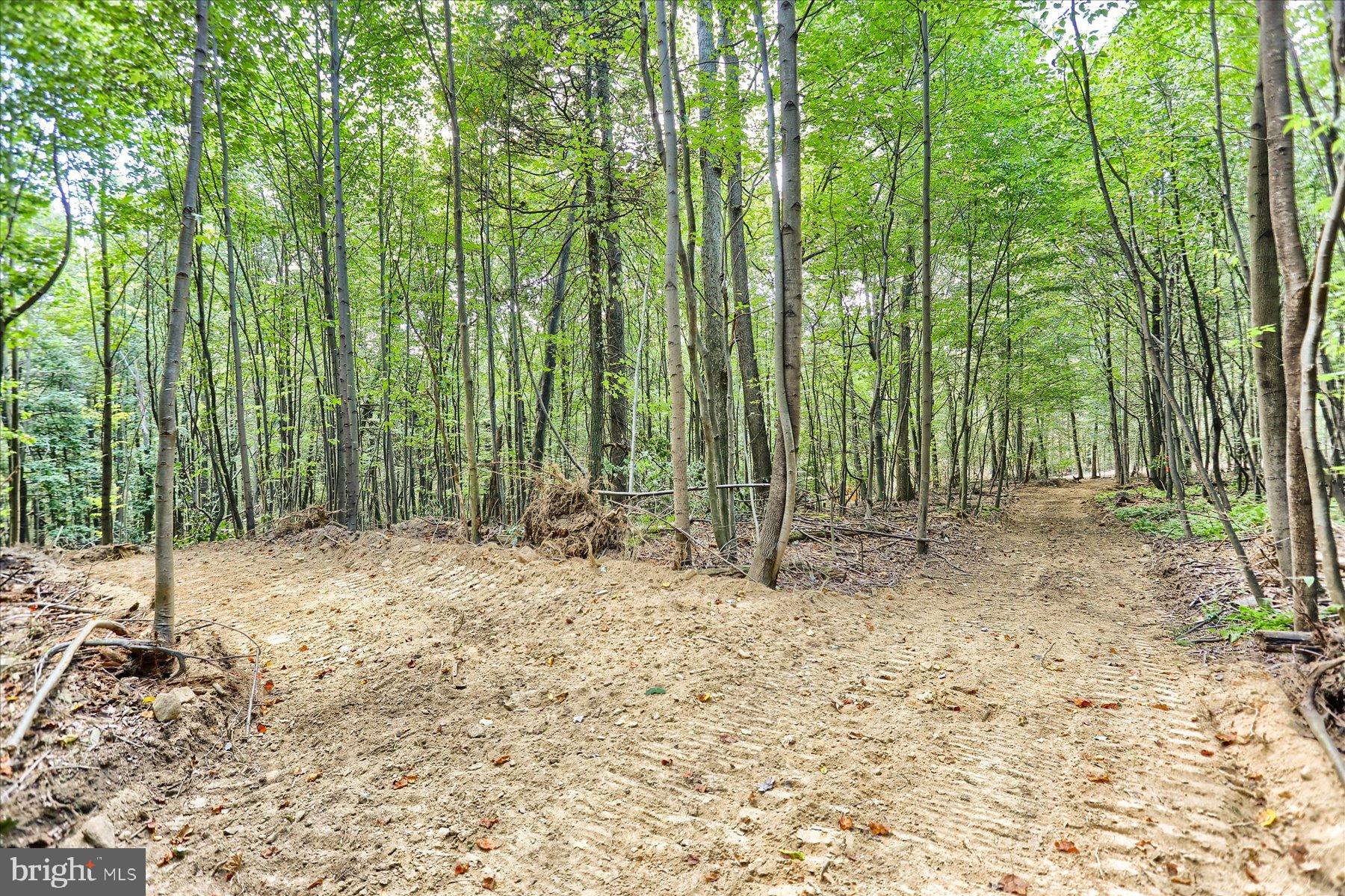 0 Pheasant Road Harrisburg, PA 17112 - Photo 8 of 42 a backyard of a house with lots of trees