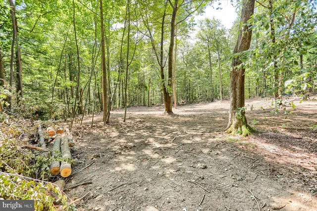 a view of backyard with green space