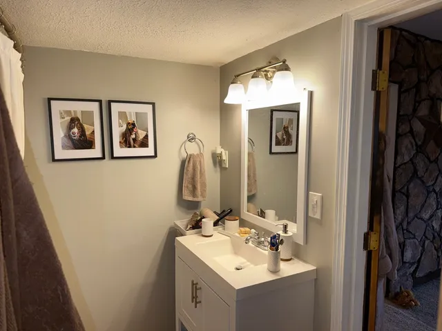 a bathroom with a sink mirror and vanity
