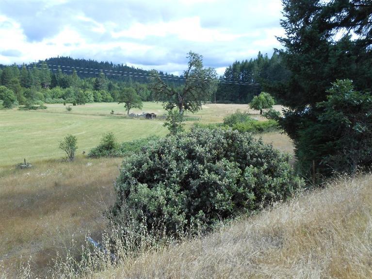 1425 Draper Valley Road Selma, OR 97538 - Photo 10 of 11 Additional Photo