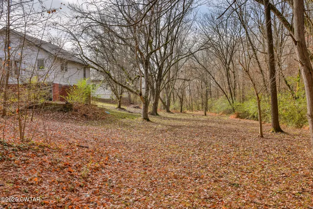 a dirt road with trees in the background
