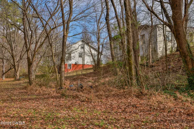 a backyard of a house with lots of green space
