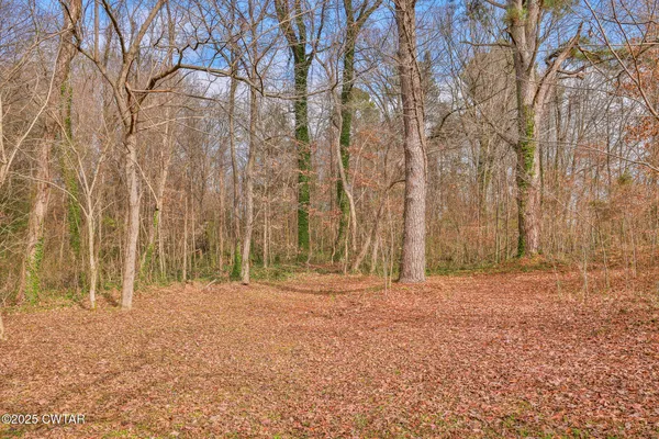 $79,000 | 1299 South Meridian Street, Greenfield, TN 38230