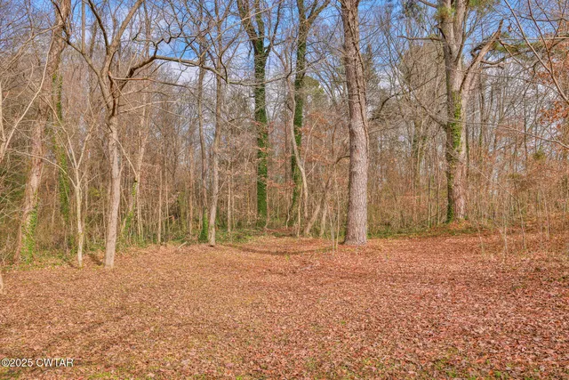 a view of outdoor space with trees