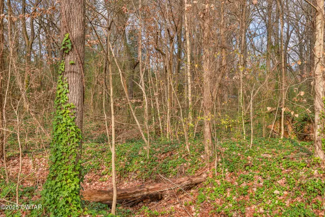 a view of field with trees in the background