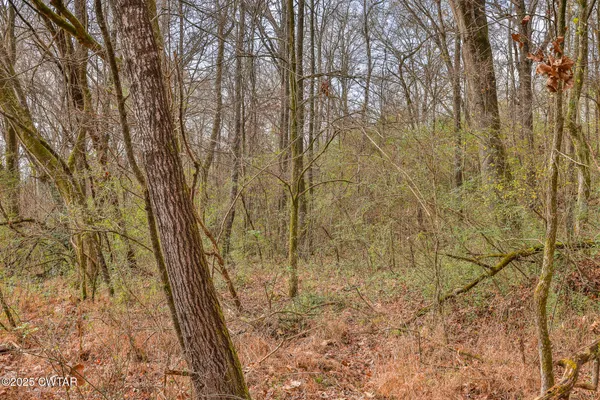 $79,000 | 1299 South Meridian Street, Greenfield, TN 38230