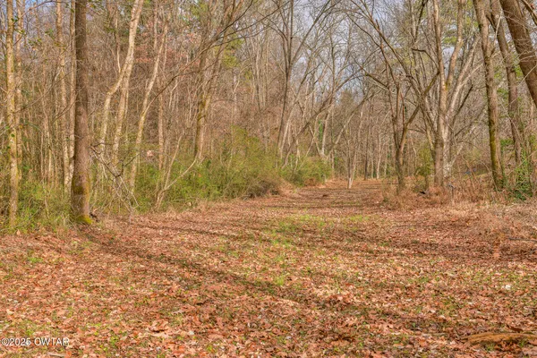 $79,000 | 1299 South Meridian Street, Greenfield, TN 38230