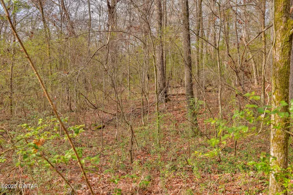 $79,000 | 1299 South Meridian Street, Greenfield, TN 38230