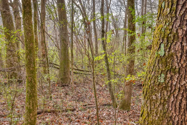 a view of a backyard of a house