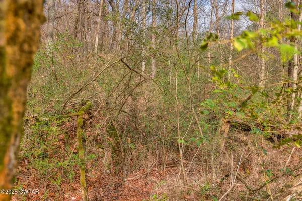 $79,000 | 1299 South Meridian Street, Greenfield, TN 38230