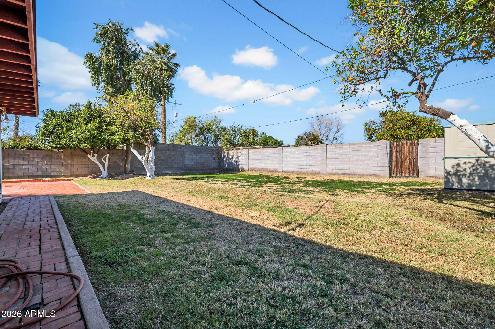 826 East Lamar Road Phoenix, AZ 85014 - Photo 18 of 19 Backyard
