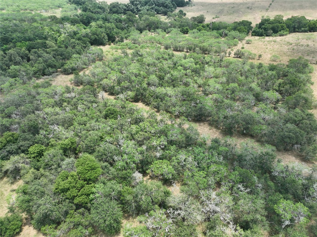 Tbd Lot 3 Tbd Road Red Rock, TX 78662 - Photo 11 of 11 an aerial view of residential houses with outdoor space and trees