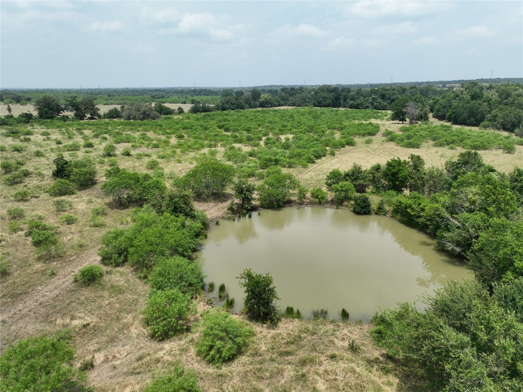 Tbd Lot 3 Tbd Road Red Rock, TX 78662 - Photo 2 of 11 a view of a lake with a city
