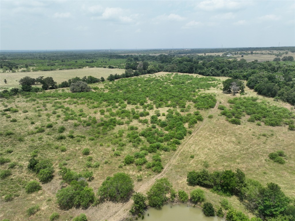 Tbd Lot 3 Tbd Road Red Rock, TX 78662 - Photo 4 of 11 a view of a green field