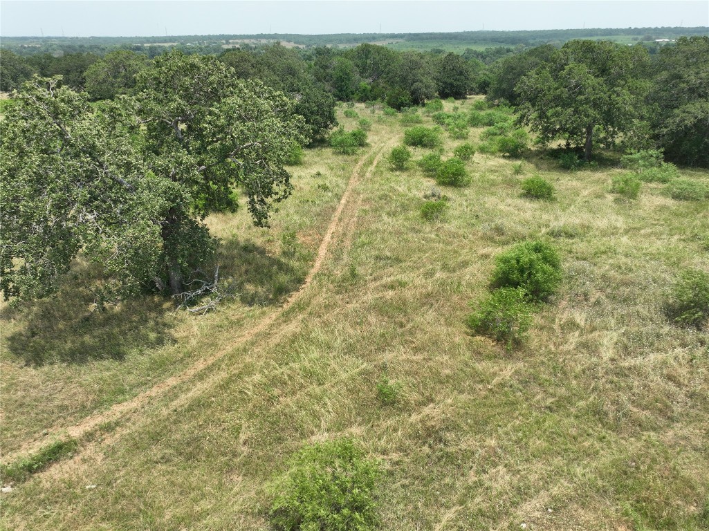 Tbd Lot 3 Tbd Road Red Rock, TX 78662 - Photo 6 of 11 a view of a yard with a tree