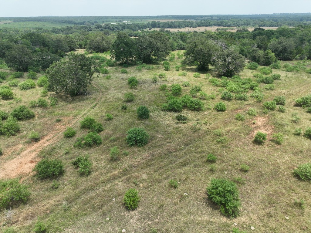 Tbd Lot 3 Tbd Road Red Rock, TX 78662 - Photo 7 of 11 a view of a lush green forest with trees and some houses