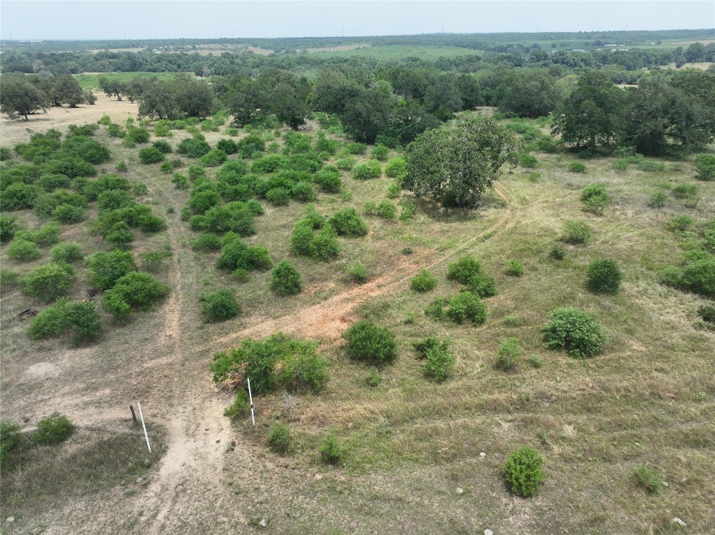 Tbd Lot 3 Tbd Road Red Rock, TX 78662 - Photo 8 of 11 a view of a forest with a street