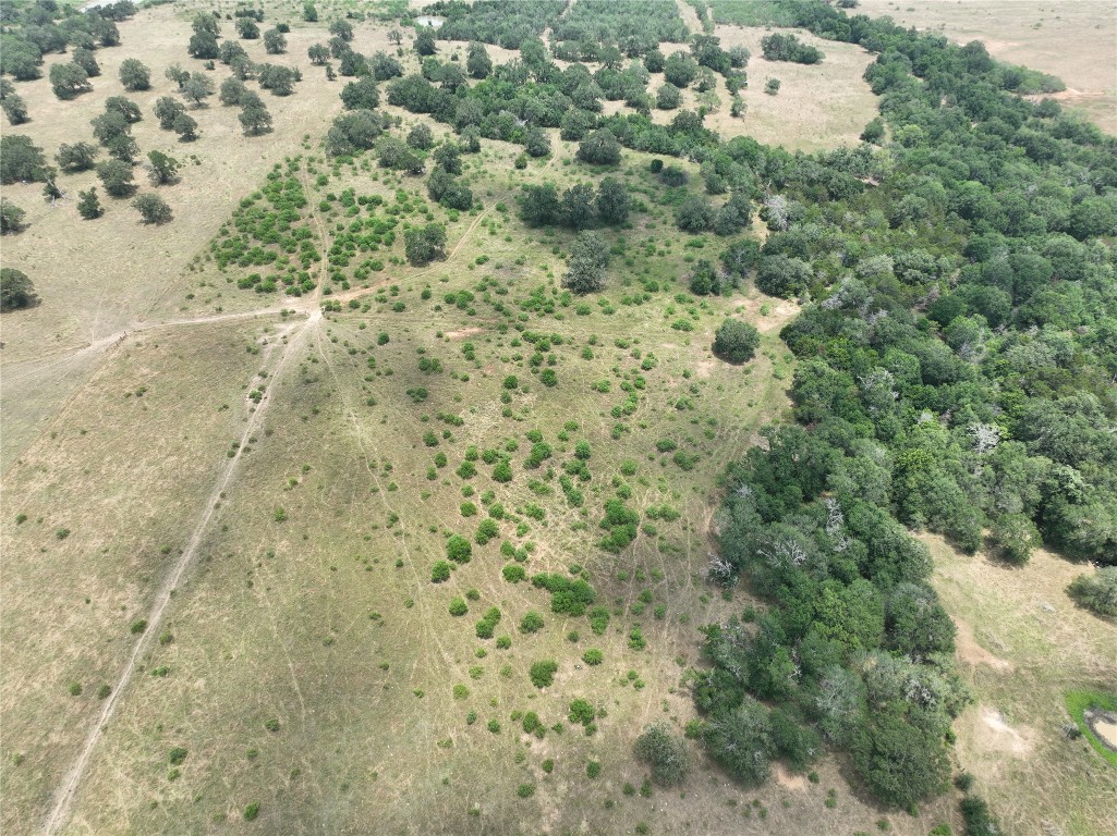 Tbd Lot 3 Tbd Road Red Rock, TX 78662 - Photo 9 of 11 a view of a dry yard with large trees