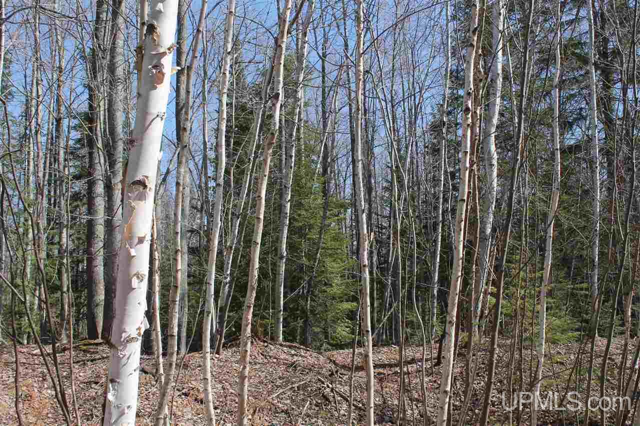 Tbd Reeds Point Road, Unit LAT 46 89919 LON 88 2455 Lanse, MI 49946 - Photo 1 of 19