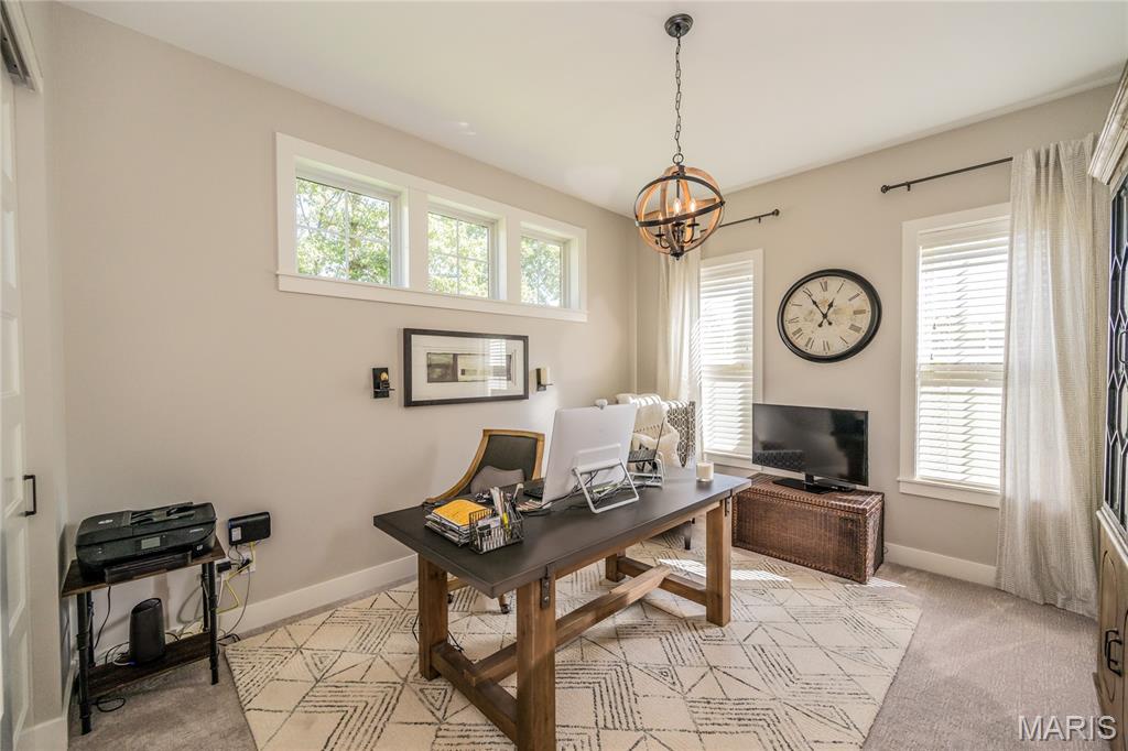 133 Bristol Ridge Drive Troy, MO 63379 - Photo 31 of 61