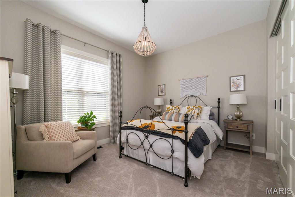 133 Bristol Ridge Drive Troy, MO 63379 - Photo 34 of 61