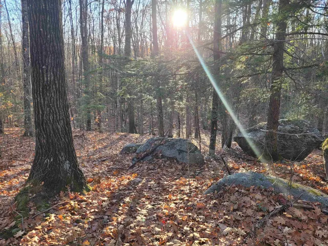 $43,000 | 0 Tipping Rock Road, Winchester, NH 03470