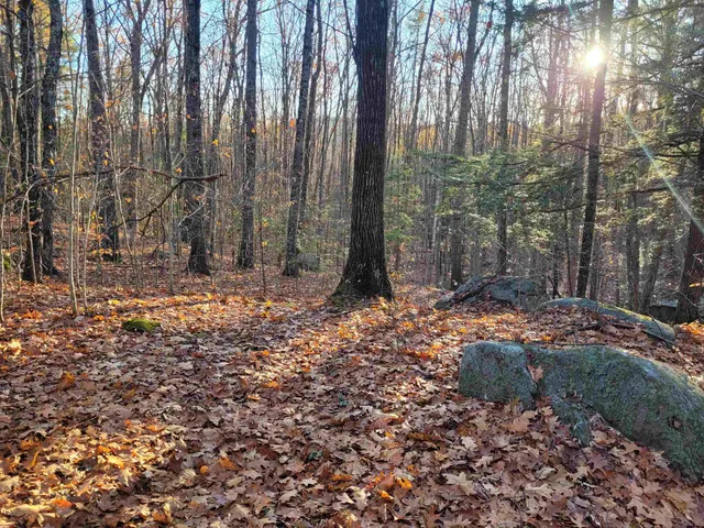 $43,000 | 0 Tipping Rock Road, Winchester, NH 03470