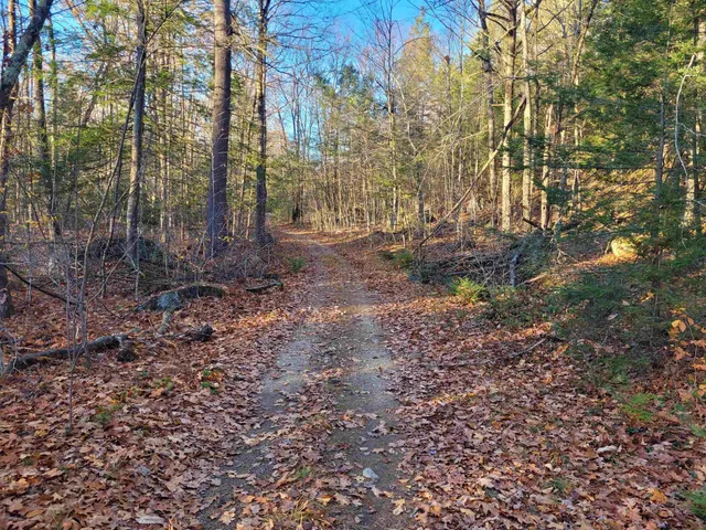 $43,000 | 0 Tipping Rock Road, Winchester, NH 03470
