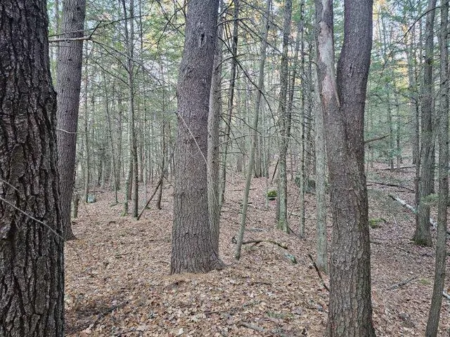 $43,000 | 0 Tipping Rock Road, Winchester, NH 03470