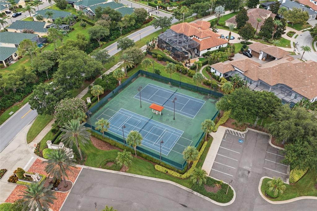 10341 Altrara Way Trinity, FL 34655 - Photo 4 of 29