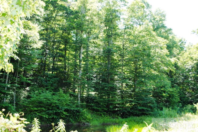 2031 Bald Knob Road Sparta, NC 28675 - Photo 11 of 37