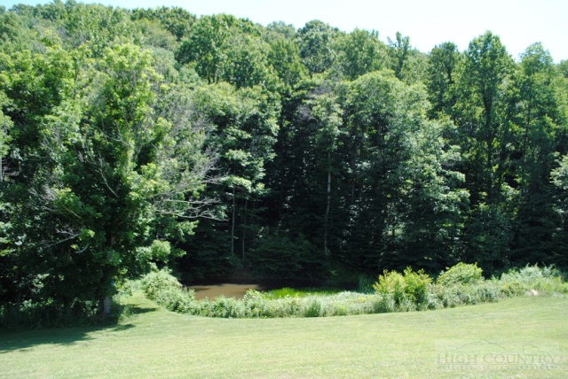 2031 Bald Knob Road Sparta, NC 28675 - Photo 14 of 37