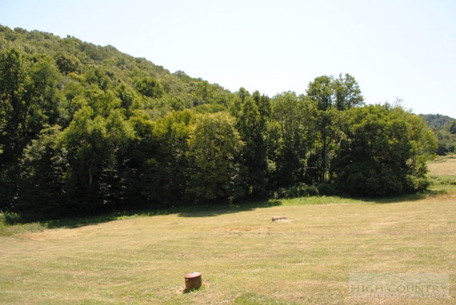 2031 Bald Knob Road Sparta, NC 28675 - Photo 17 of 37