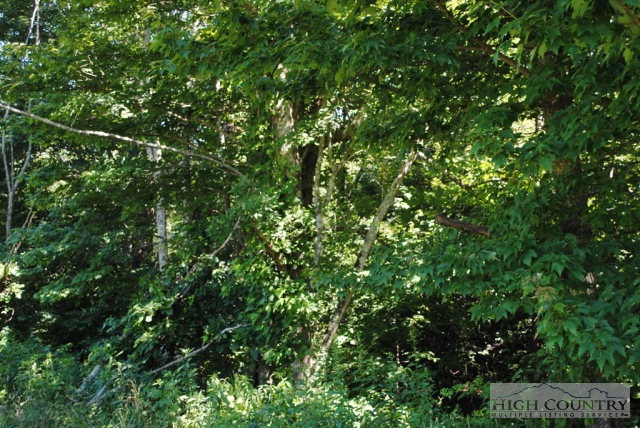 2031 Bald Knob Road Sparta, NC 28675 - Photo 18 of 37