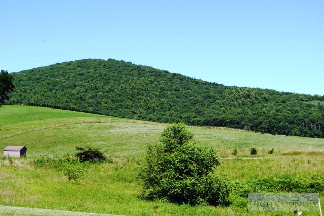 2031 Bald Knob Road Sparta, NC 28675 - Photo 10 of 37