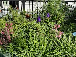 31 Wilson Boulevard Poughkeepsie, NY 12603 - Photo 27 of 36 a view of a flower in a yard