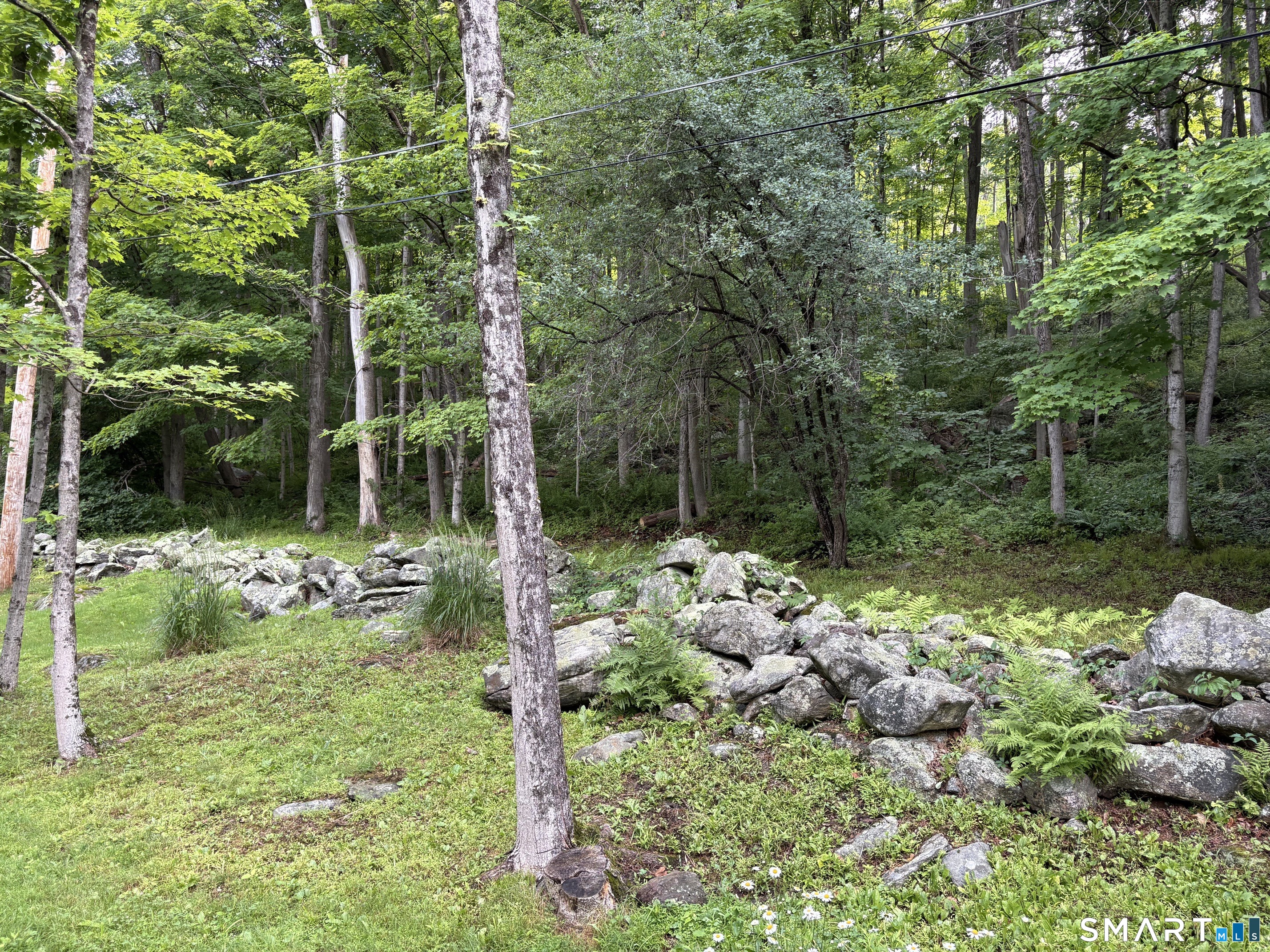 128 Popple Swamp Road Cornwall Bridge, CT 06754 - Photo 10 of 10 Old stone walls are something special in Connecticut and harken to days long ago when time moved a bit slower. Come build and enjoy this throwback lifestyle.