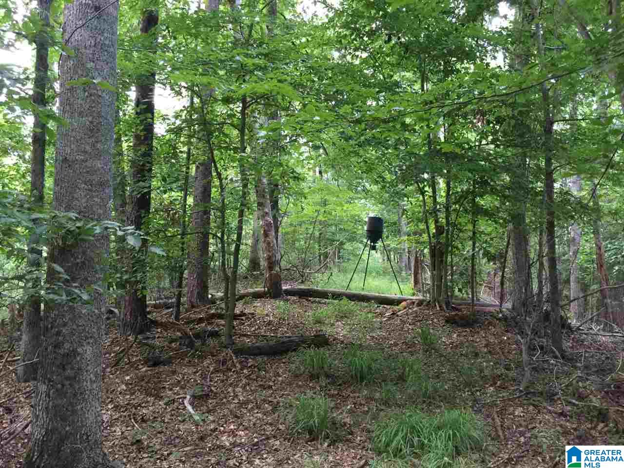 2364 Grants Mill Road Birmingham, AL 35210 - Photo 7 of 17
