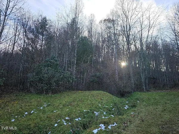 $39,000 | 0 Country Meadow Drive, Norton, VA 24273