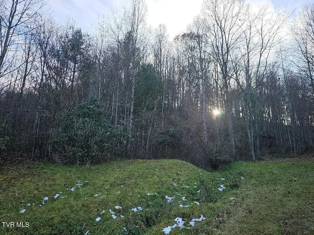 $39,000 | 0 Country Meadow Drive, Norton, VA 24273