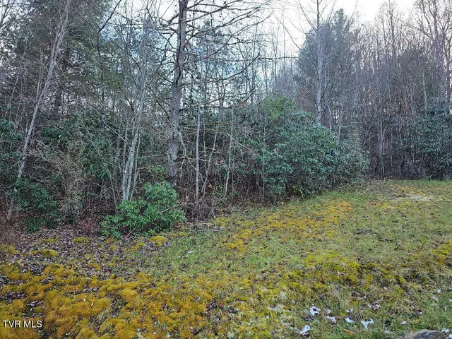 $39,000 | 0 Country Meadow Drive, Norton, VA 24273