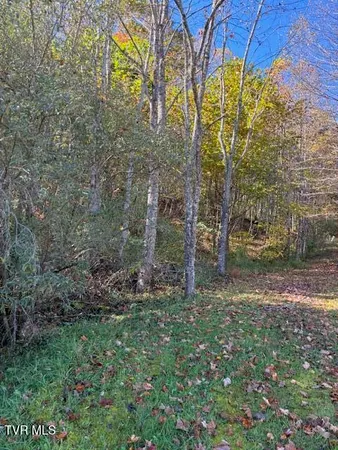 $39,000 | 0 Country Meadow Drive, Norton, VA 24273