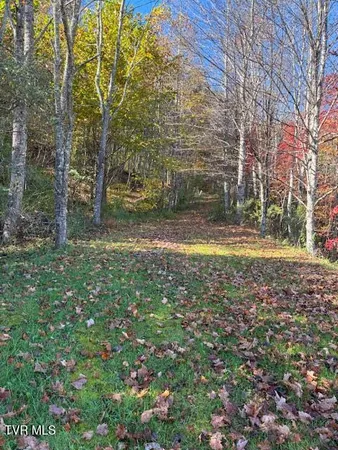$39,000 | 0 Country Meadow Drive, Norton, VA 24273