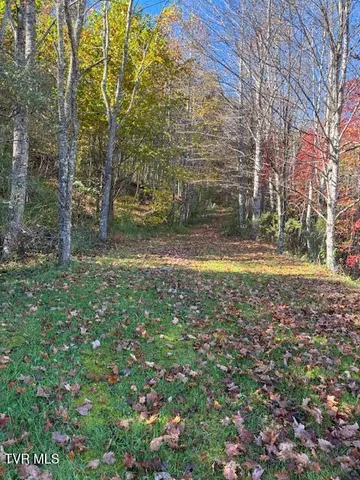 $39,000 | 0 Country Meadow Drive, Norton, VA 24273