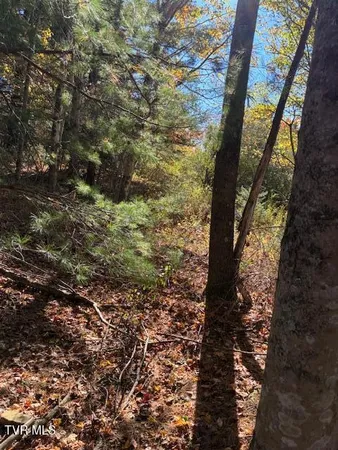$39,000 | 0 Country Meadow Drive, Norton, VA 24273